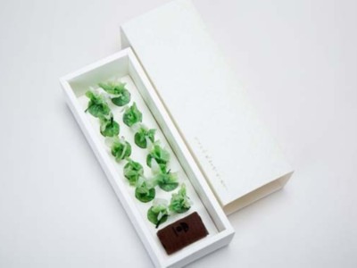 【濟南茶葉包裝盒廠家】喝的不是茶，是創(chuàng)意！